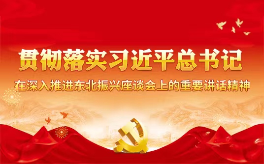 貫徹落實習近平總書記在深入推進東北振興座談會上的重要講話精神